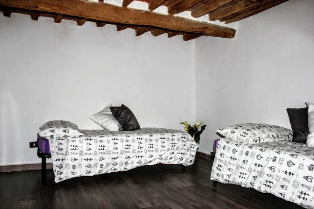 Panoramic And Beautiful House 4Km From The Sea. Villa Rosignano Marittimo Exterior foto