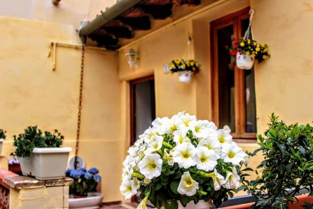 Panoramic And Beautiful House 4Km From The Sea. Villa Rosignano Marittimo Exterior foto